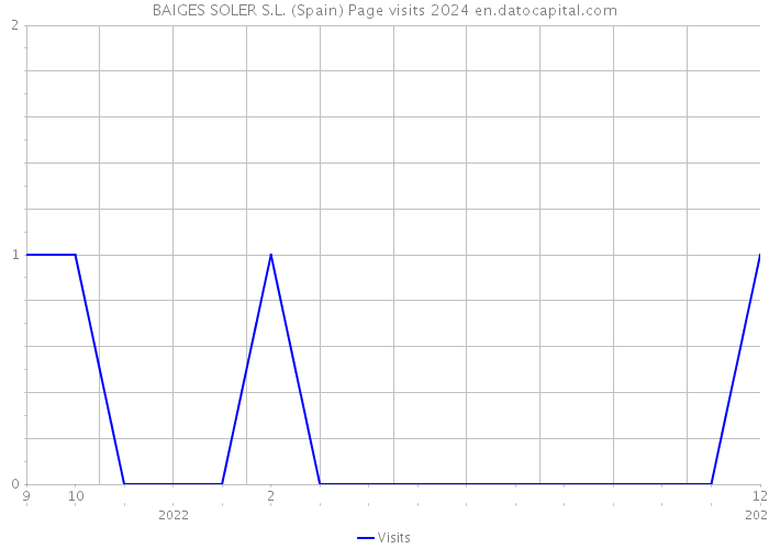 BAIGES SOLER S.L. (Spain) Page visits 2024 