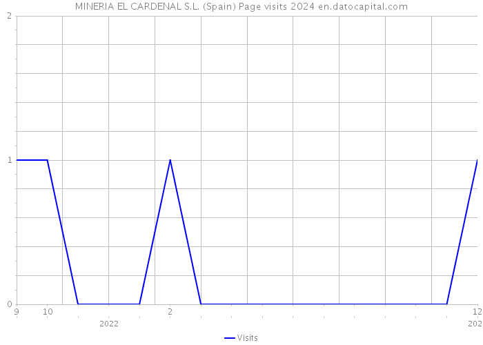 MINERIA EL CARDENAL S.L. (Spain) Page visits 2024 