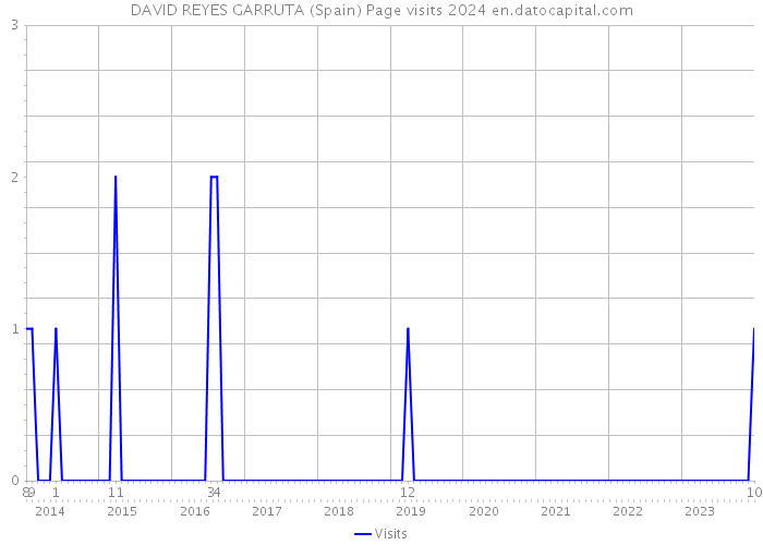 DAVID REYES GARRUTA (Spain) Page visits 2024 