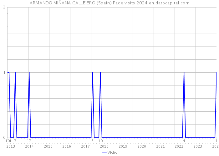 ARMANDO MIÑANA CALLEJERO (Spain) Page visits 2024 