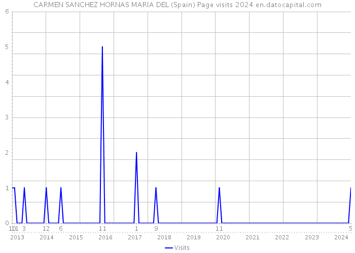 CARMEN SANCHEZ HORNAS MARIA DEL (Spain) Page visits 2024 