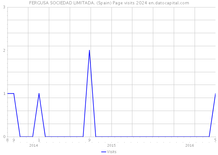 FERGUSA SOCIEDAD LIMITADA. (Spain) Page visits 2024 