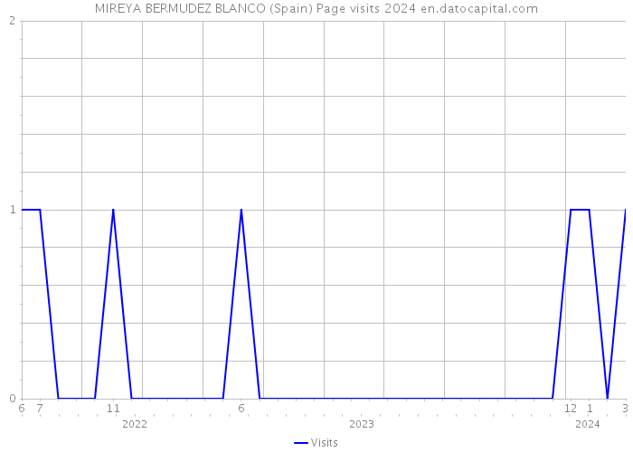 MIREYA BERMUDEZ BLANCO (Spain) Page visits 2024 
