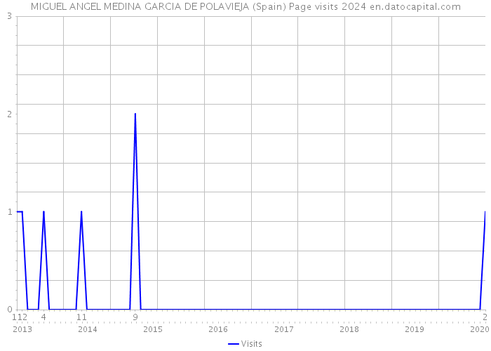 MIGUEL ANGEL MEDINA GARCIA DE POLAVIEJA (Spain) Page visits 2024 