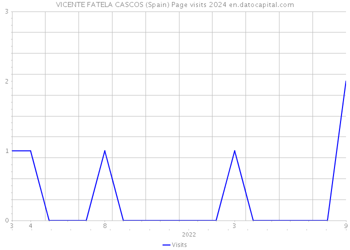 VICENTE FATELA CASCOS (Spain) Page visits 2024 