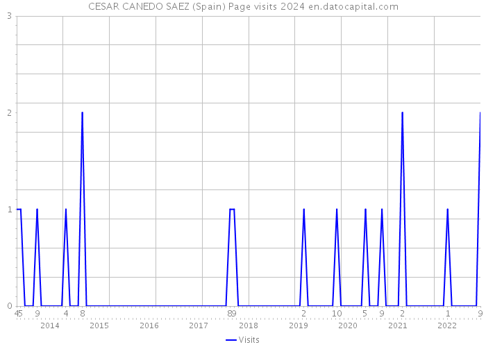 CESAR CANEDO SAEZ (Spain) Page visits 2024 
