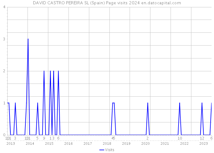 DAVID CASTRO PEREIRA SL (Spain) Page visits 2024 