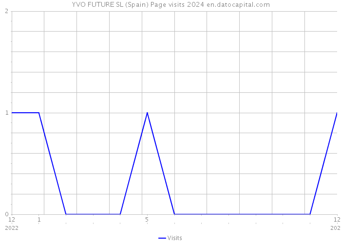 YVO FUTURE SL (Spain) Page visits 2024 