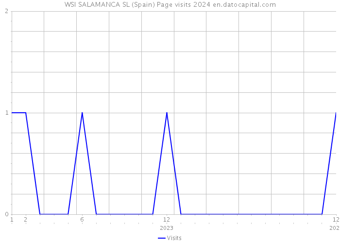 WSI SALAMANCA SL (Spain) Page visits 2024 