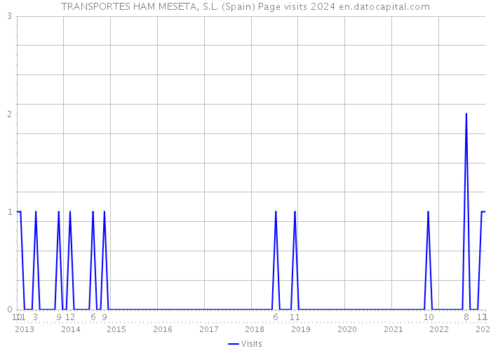 TRANSPORTES HAM MESETA, S.L. (Spain) Page visits 2024 