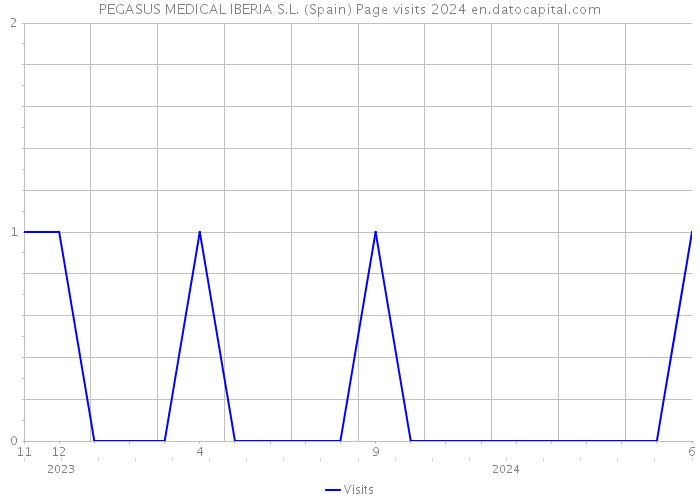 PEGASUS MEDICAL IBERIA S.L. (Spain) Page visits 2024 