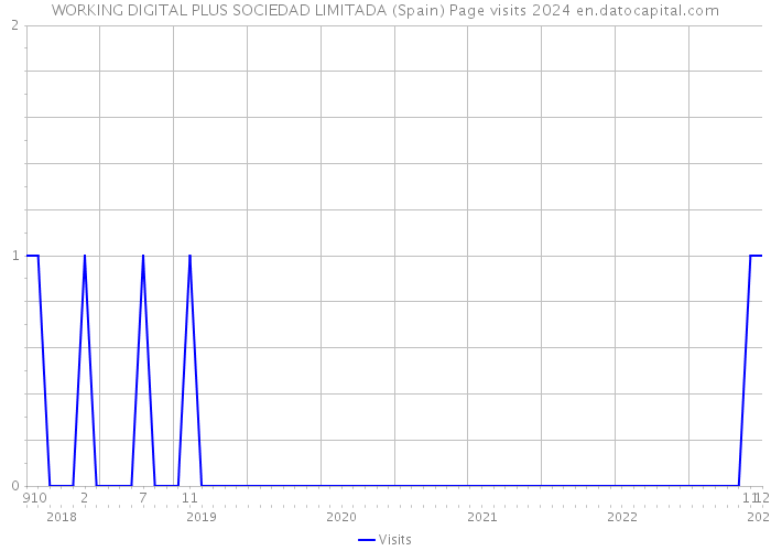 WORKING DIGITAL PLUS SOCIEDAD LIMITADA (Spain) Page visits 2024 