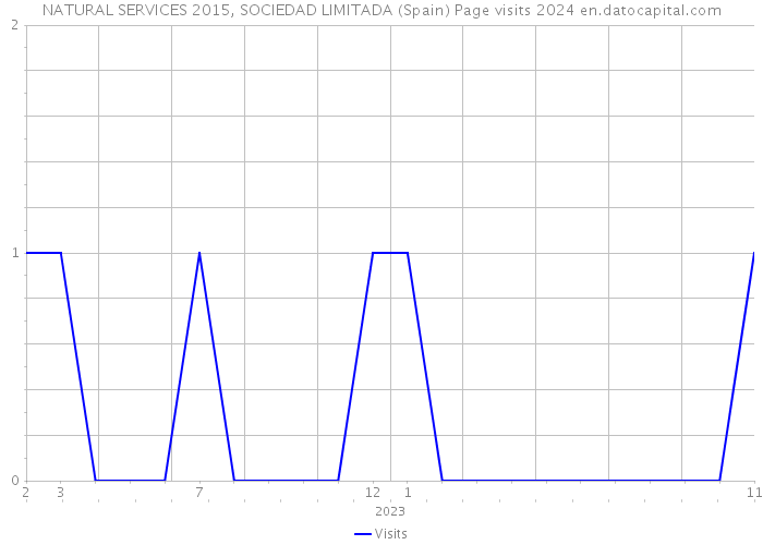 NATURAL SERVICES 2015, SOCIEDAD LIMITADA (Spain) Page visits 2024 