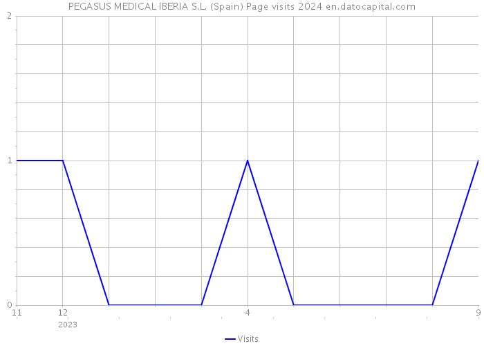 PEGASUS MEDICAL IBERIA S.L. (Spain) Page visits 2024 