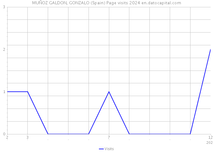 MUÑOZ GALDON, GONZALO (Spain) Page visits 2024 