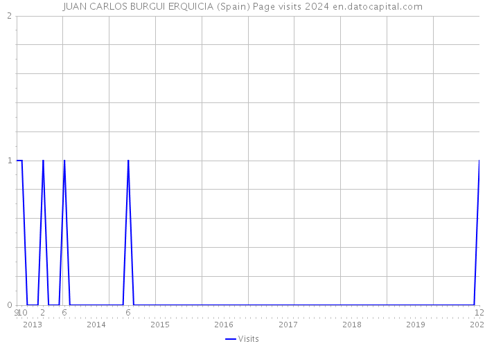 JUAN CARLOS BURGUI ERQUICIA (Spain) Page visits 2024 