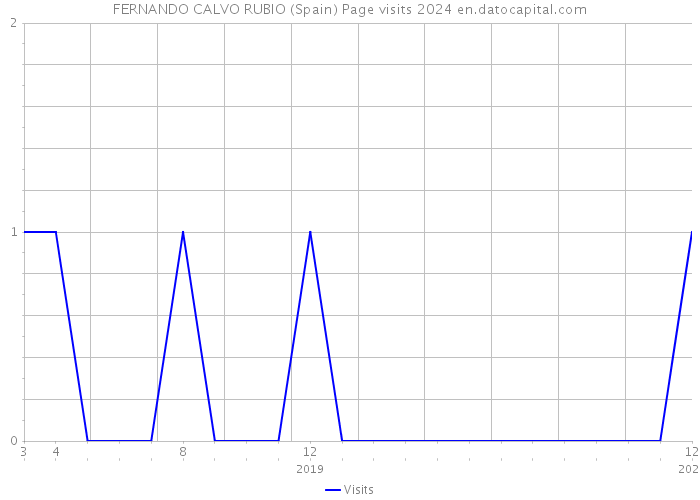 FERNANDO CALVO RUBIO (Spain) Page visits 2024 