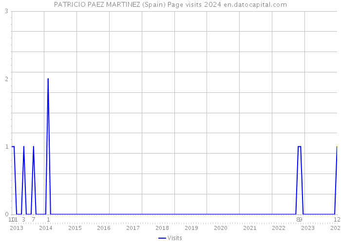 PATRICIO PAEZ MARTINEZ (Spain) Page visits 2024 