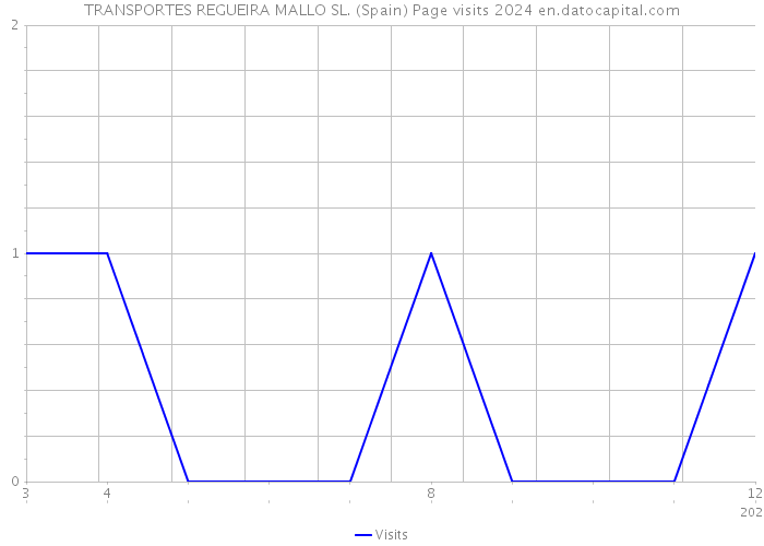TRANSPORTES REGUEIRA MALLO SL. (Spain) Page visits 2024 