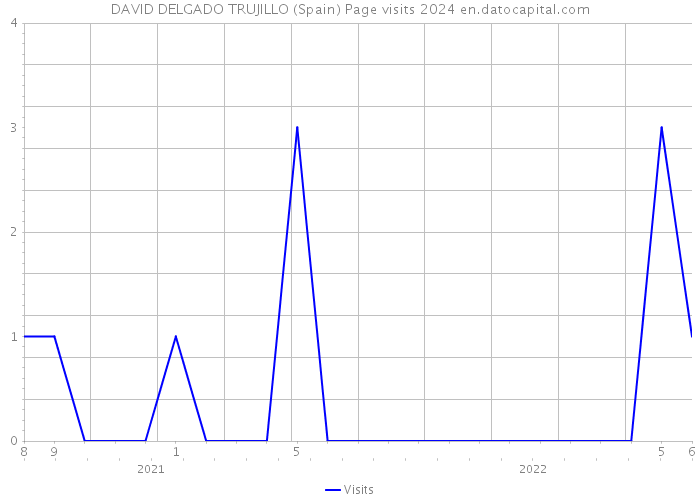 DAVID DELGADO TRUJILLO (Spain) Page visits 2024 