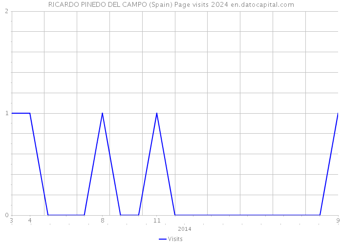 RICARDO PINEDO DEL CAMPO (Spain) Page visits 2024 