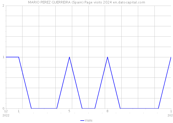 MARIO PEREZ GUERREIRA (Spain) Page visits 2024 