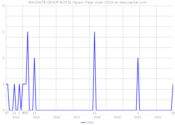 MAGNATE GROUP BCN SL (Spain) Page visits 2024 