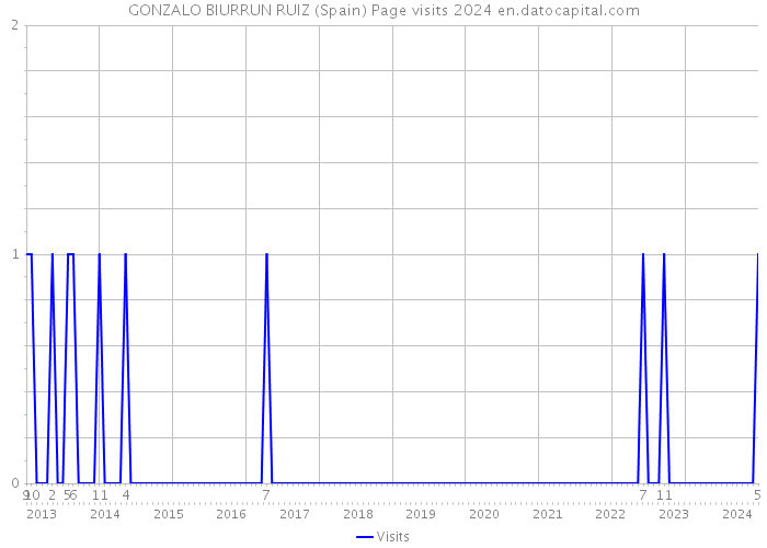 GONZALO BIURRUN RUIZ (Spain) Page visits 2024 