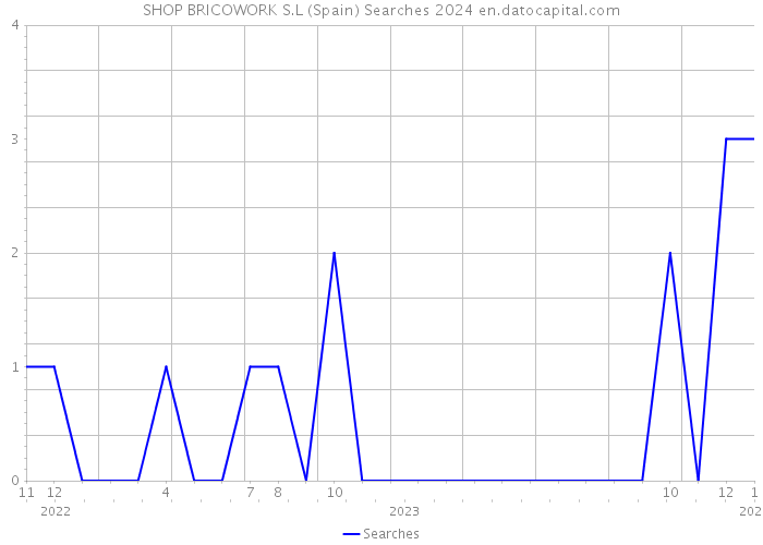 SHOP BRICOWORK S.L (Spain) Searches 2024 