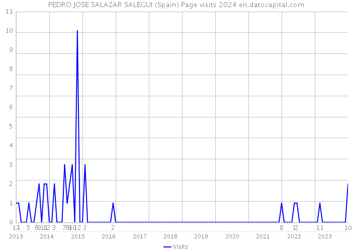 PEDRO JOSE SALAZAR SALEGUI (Spain) Page visits 2024 