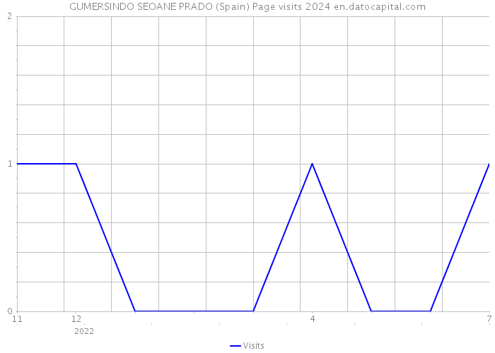 GUMERSINDO SEOANE PRADO (Spain) Page visits 2024 