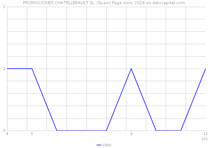 PROMOCIONES CHATELLERAULT SL. (Spain) Page visits 2024 