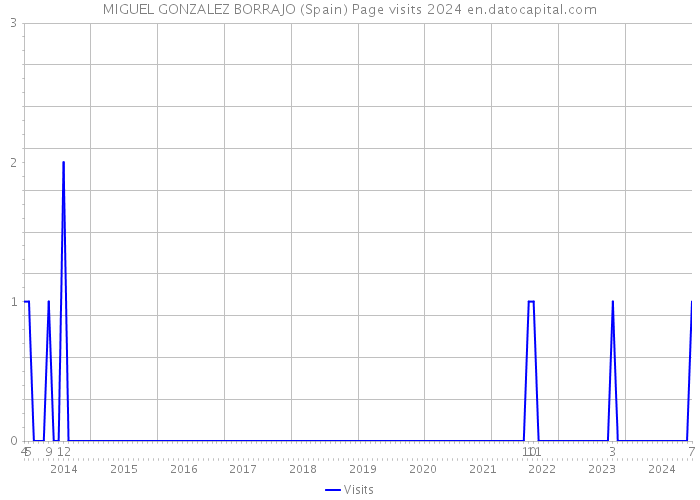 MIGUEL GONZALEZ BORRAJO (Spain) Page visits 2024 