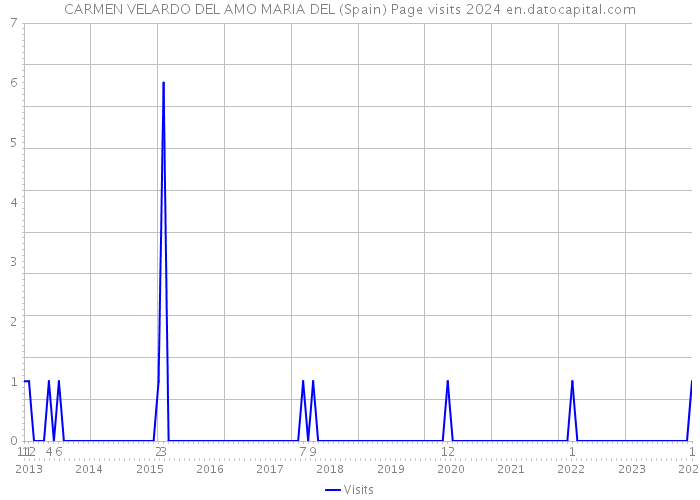 CARMEN VELARDO DEL AMO MARIA DEL (Spain) Page visits 2024 