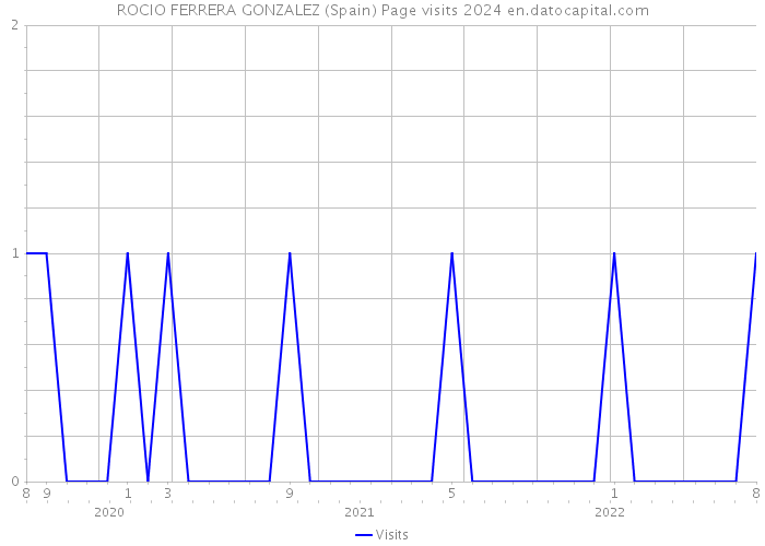 ROCIO FERRERA GONZALEZ (Spain) Page visits 2024 