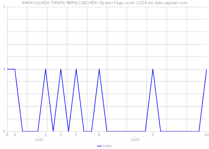 INMACULADA TIRAPU BERACOECHEA (Spain) Page visits 2024 