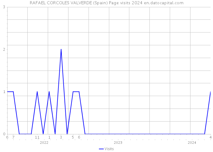 RAFAEL CORCOLES VALVERDE (Spain) Page visits 2024 