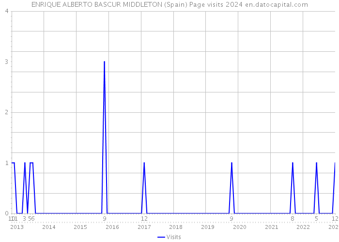 ENRIQUE ALBERTO BASCUR MIDDLETON (Spain) Page visits 2024 