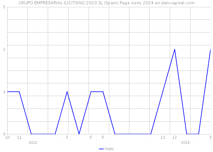 GRUPO EMPRESARIAL ILICITANO 2020 SL (Spain) Page visits 2024 
