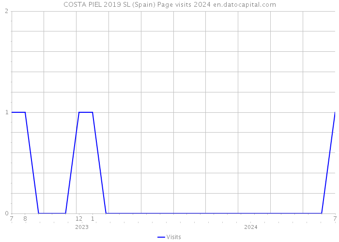 COSTA PIEL 2019 SL (Spain) Page visits 2024 