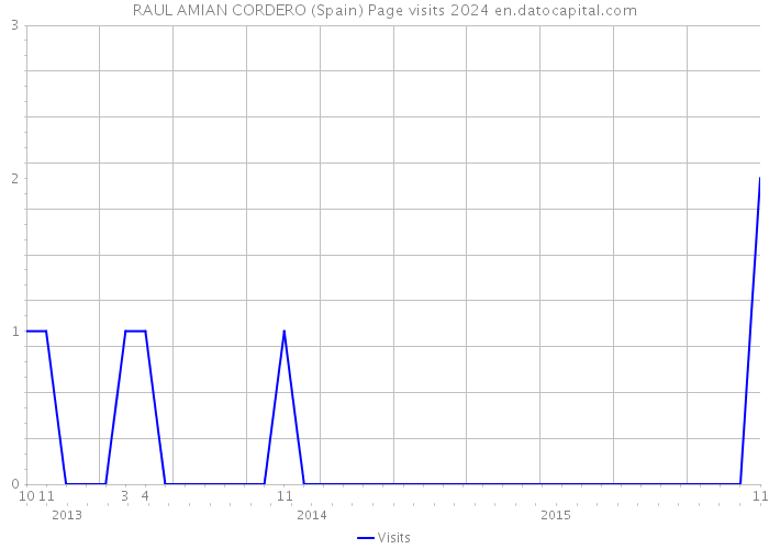 RAUL AMIAN CORDERO (Spain) Page visits 2024 