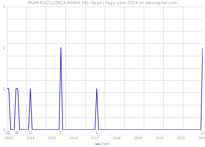 PILAR RUIZ LLORCA MARIA DEL (Spain) Page visits 2024 