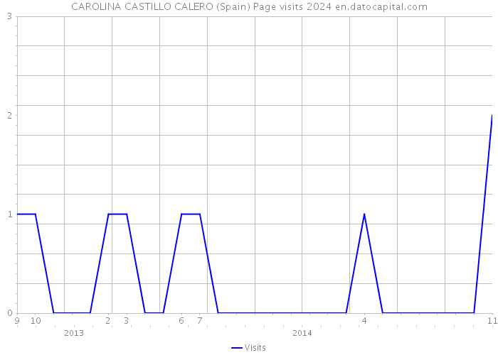 CAROLINA CASTILLO CALERO (Spain) Page visits 2024 