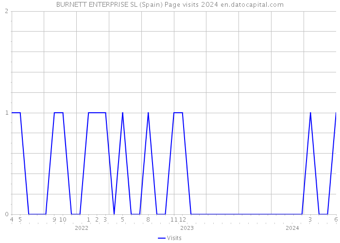 BURNETT ENTERPRISE SL (Spain) Page visits 2024 