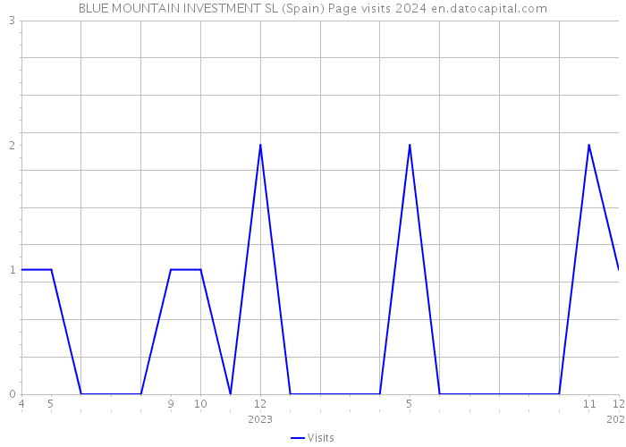 BLUE MOUNTAIN INVESTMENT SL (Spain) Page visits 2024 