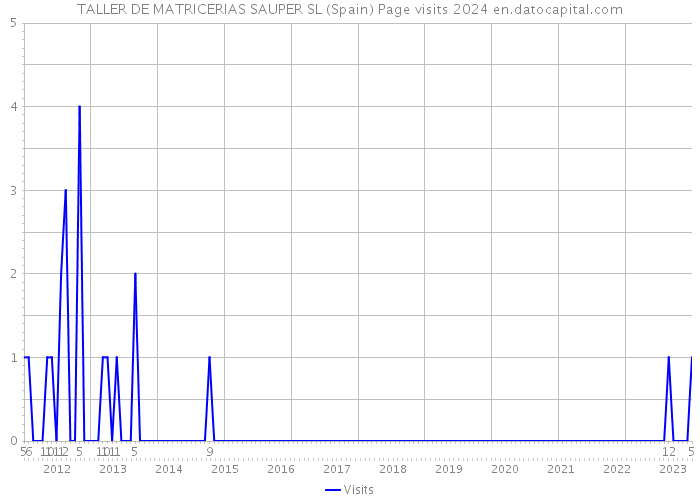 TALLER DE MATRICERIAS SAUPER SL (Spain) Page visits 2024 