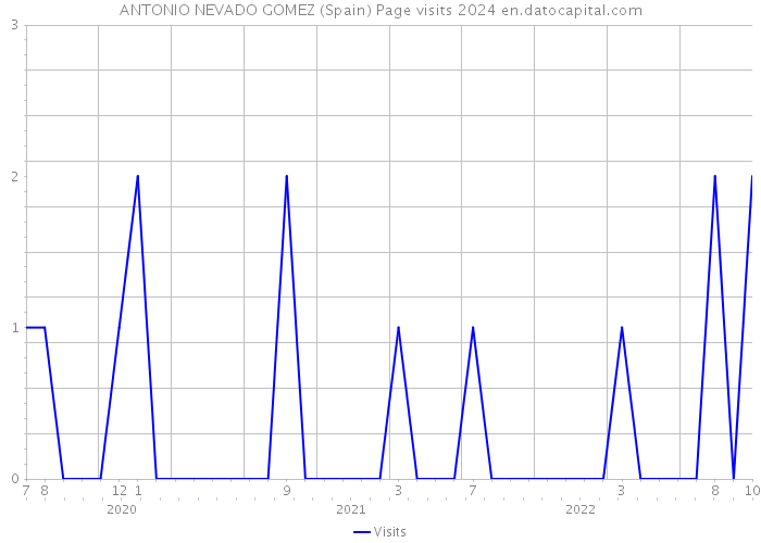 ANTONIO NEVADO GOMEZ (Spain) Page visits 2024 