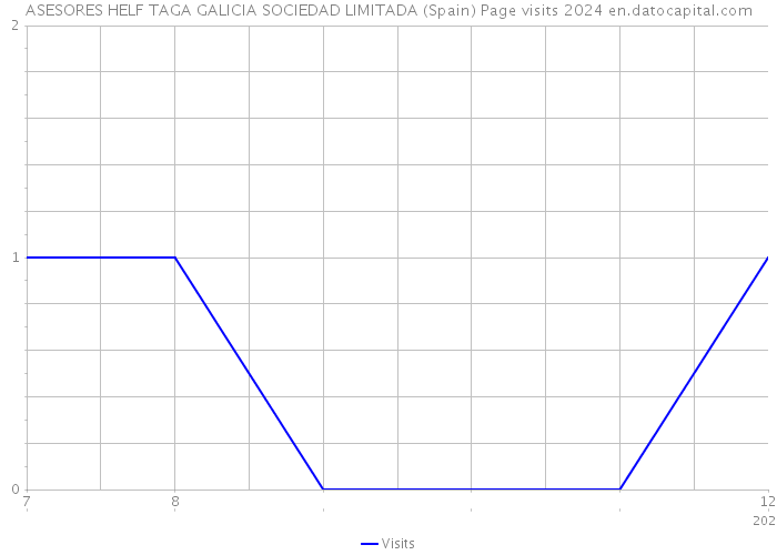 ASESORES HELF TAGA GALICIA SOCIEDAD LIMITADA (Spain) Page visits 2024 