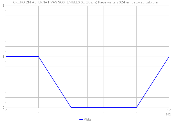 GRUPO 2M ALTERNATIVAS SOSTENIBLES SL (Spain) Page visits 2024 