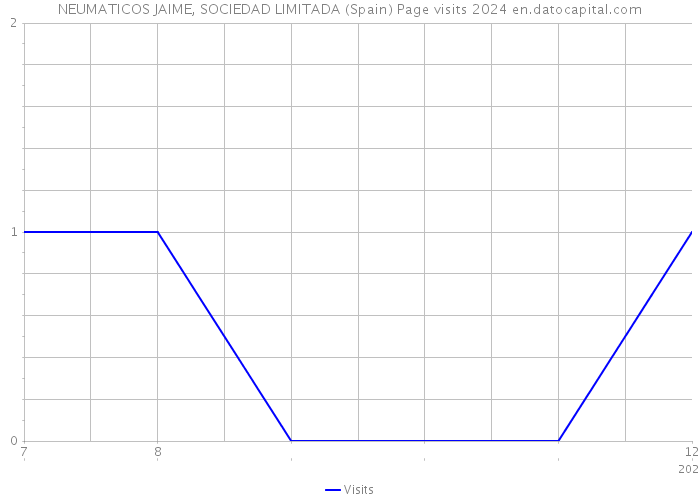 NEUMATICOS JAIME, SOCIEDAD LIMITADA (Spain) Page visits 2024 